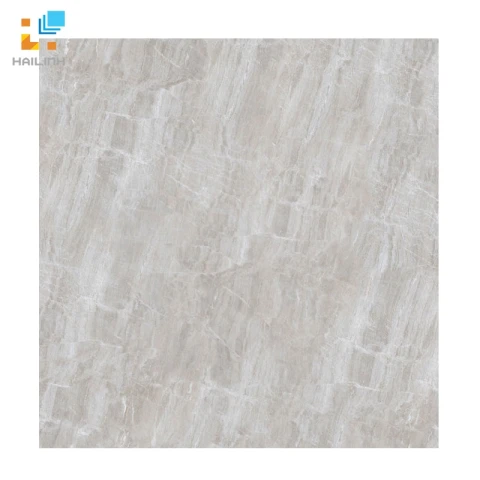 Ảnh Gạch Đồng Tâm 8080TRUONGSON002 1