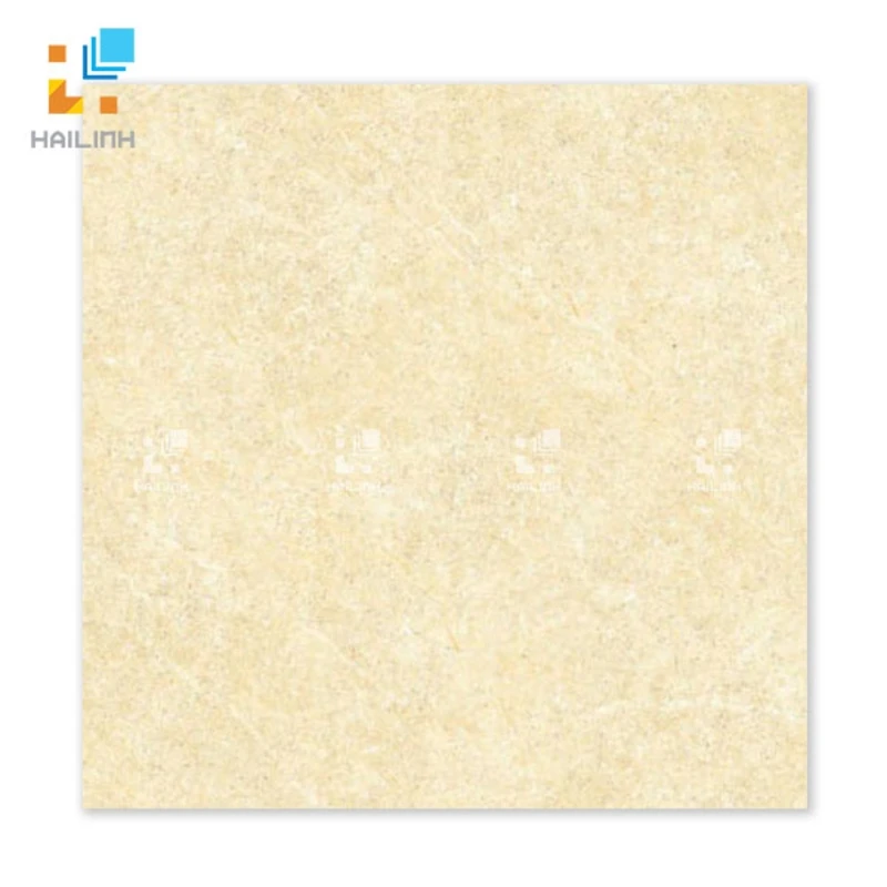 Gạch Đồng Tâm 6060BINHTHUAN002