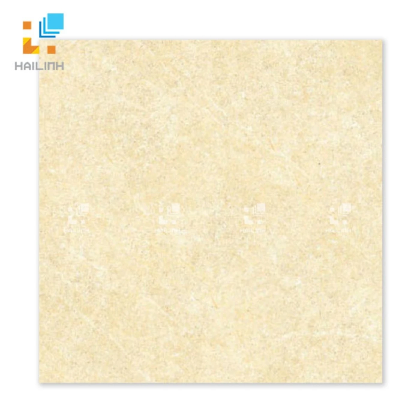 Mẫu gạch Đồng Tâm 6060BINHTHUAN002