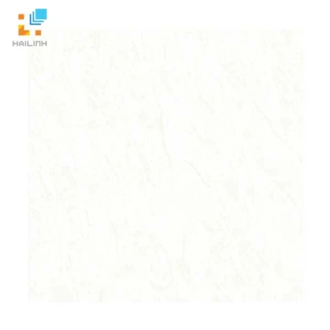 Ảnh Gạch Đồng Tâm 6060HAIVAN004-FP 1