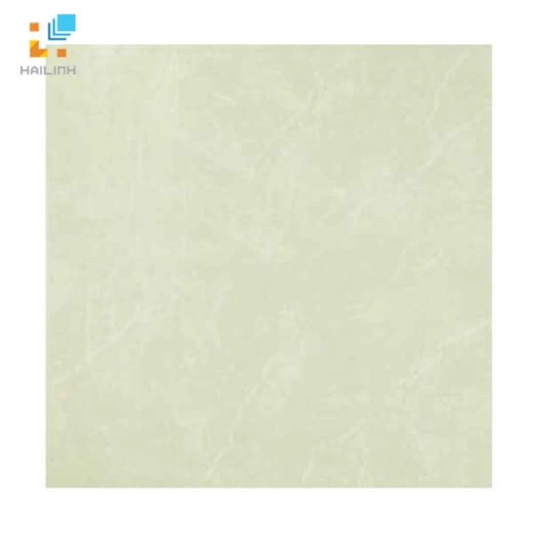 Gạch Đồng Tâm 6060DA011-FP