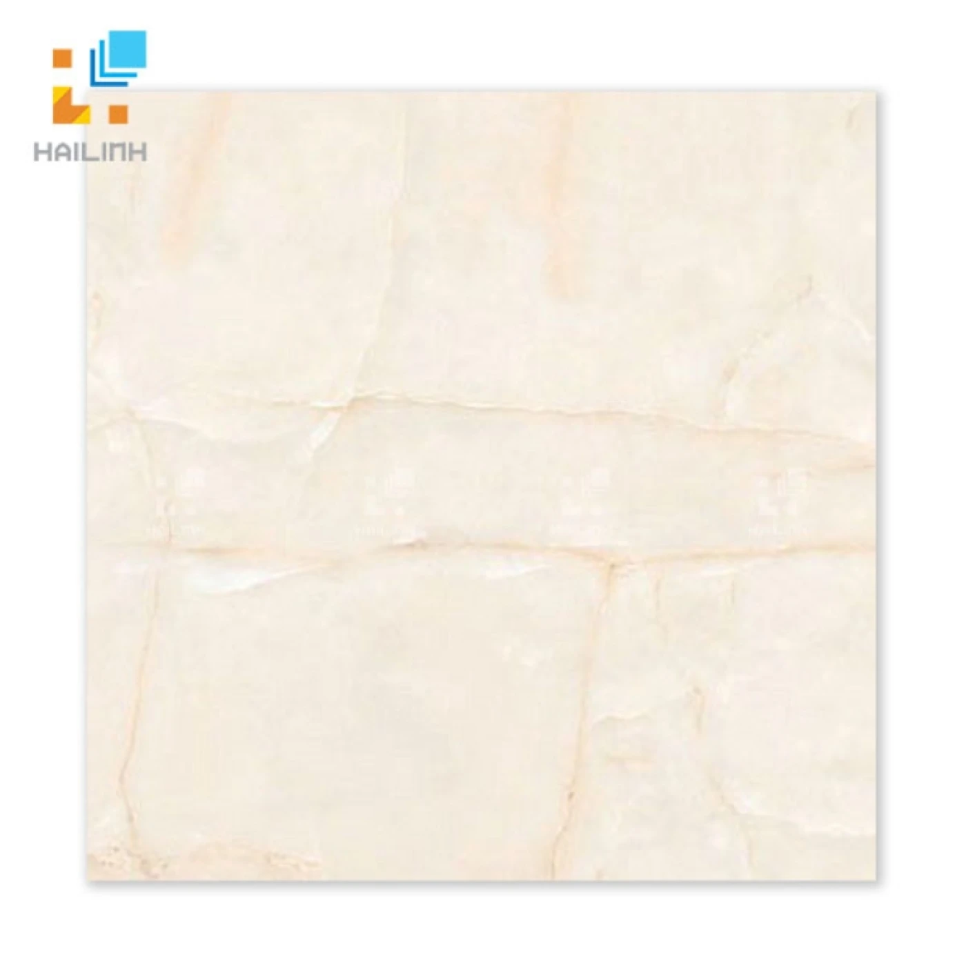 Gạch Đồng Tâm 6060MEKONG001