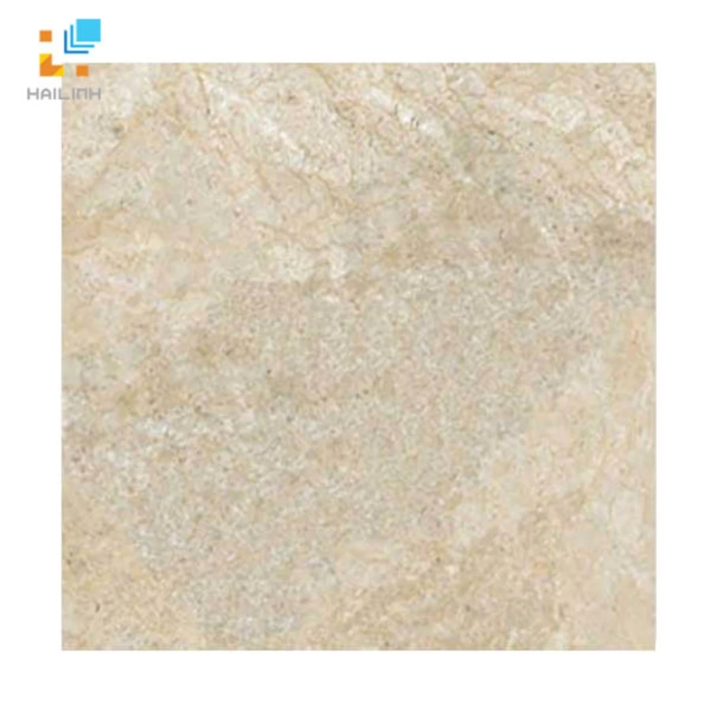 Gạch Đồng Tâm 6060TRUONGSON006