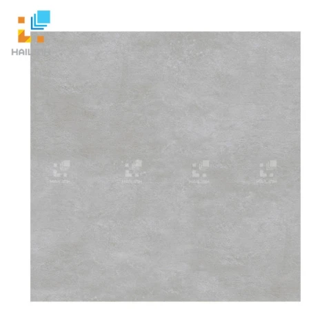Ảnh Gạch Đồng Tâm 6060VICTORIA002 1