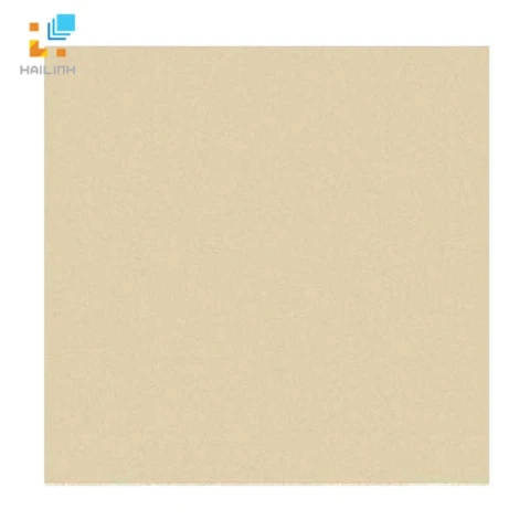 Ảnh Gạch Đồng Tâm 6060VICTORIA004 1