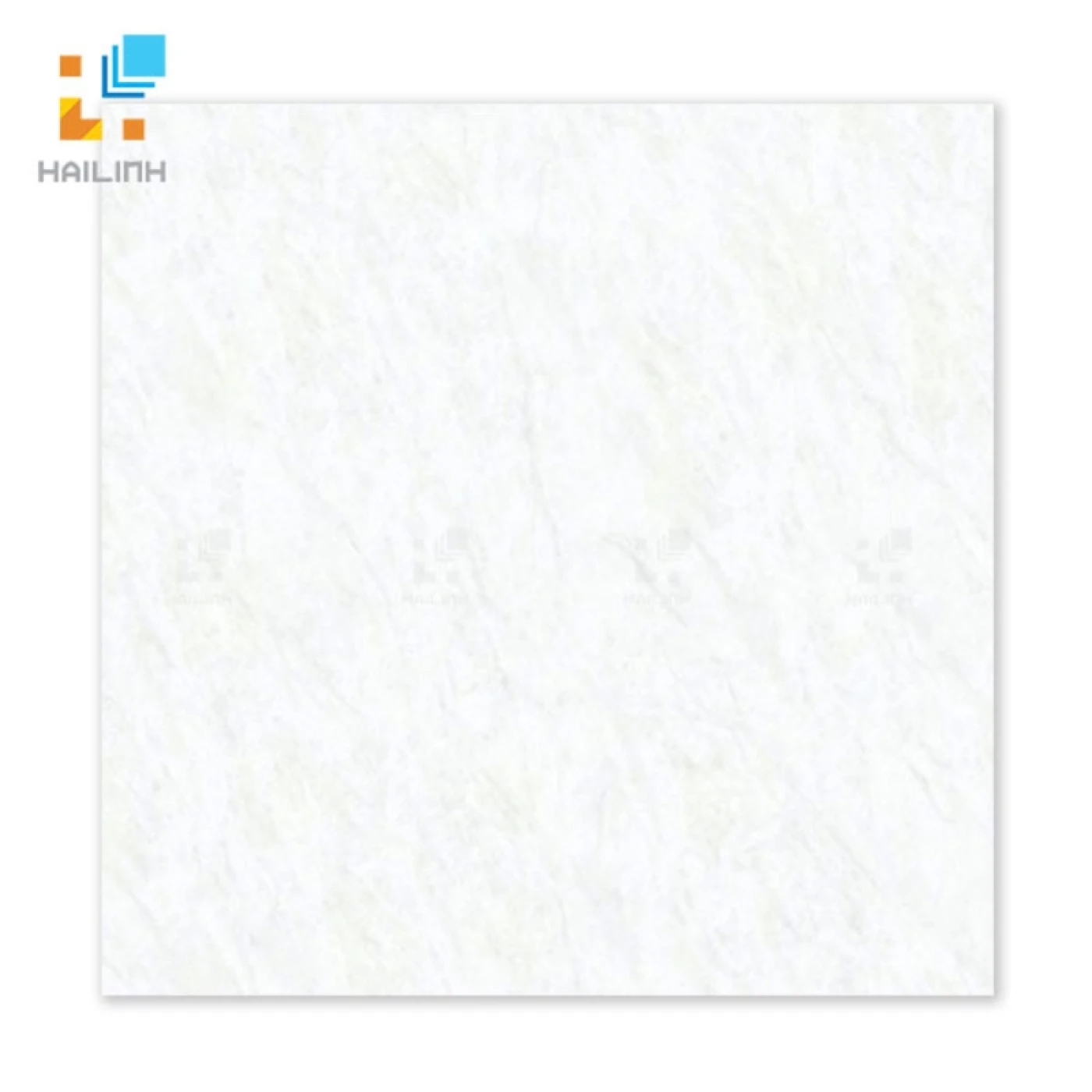 Gạch Đồng Tâm DTD6060TRUONGSON001-FP