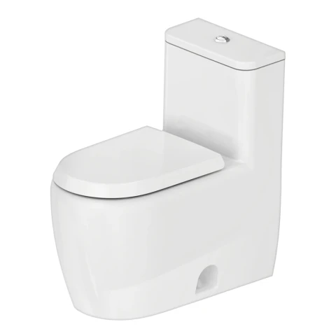 Ảnh Bồn cầu 1 khối Duravit 2022012001 1