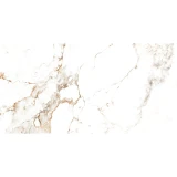 Gạch Ấn Độ CSI612122 1