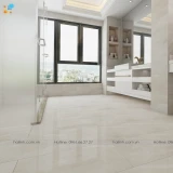 Gạch Ấn Độ CSI36110 3