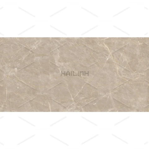 Ảnh Gạch Ấn Độ CSI612149 1