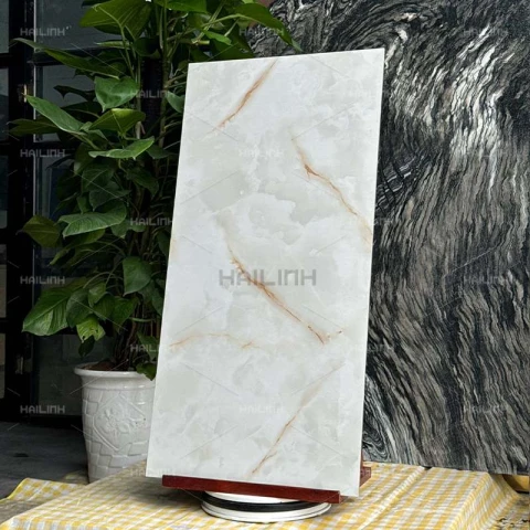 Ảnh Gạch Ấn Độ CSI612173 7