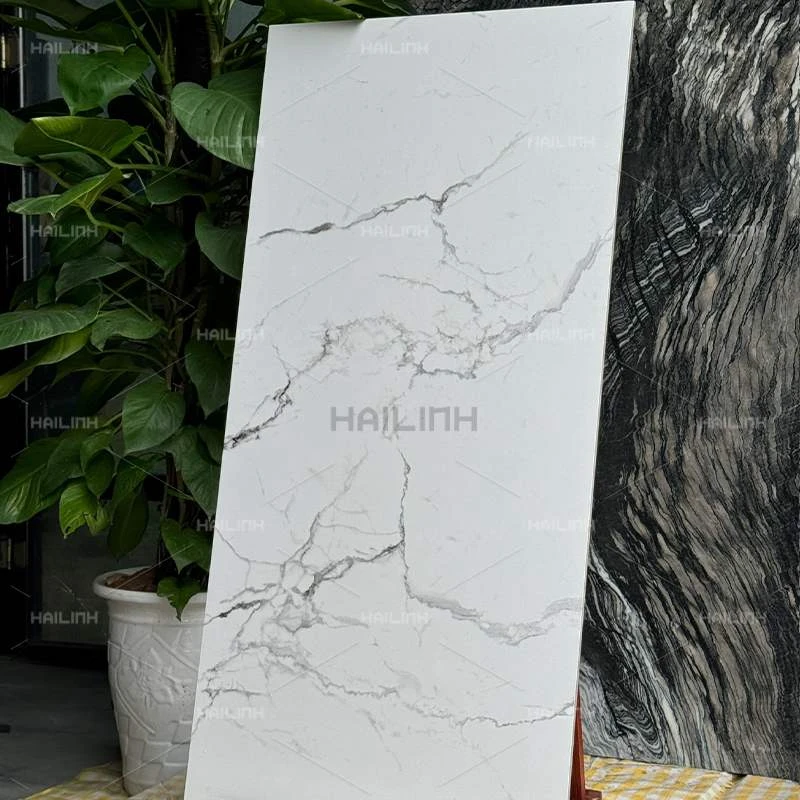 Ảnh Gạch Ấn Độ CSI612175 8