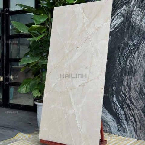 Ảnh Gạch Ấn Độ CSI612176 7