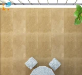Gạch Ấn Độ HLAD6112103 2