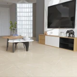 Gạch Ấn Độ CSI66119 60x60 màu Beige 1