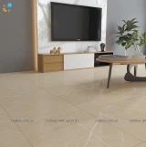 Gạch Ấn Độ CSI66119 60x60 màu Beige 3