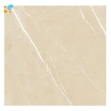 Gạch Ấn Độ CSI66119 60x60 màu Beige 2