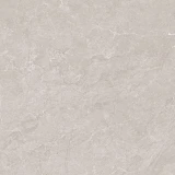 Gạch Ấn Độ CSI88138 1