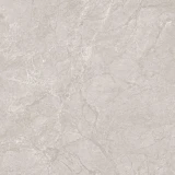 Gạch Ấn Độ CSI88138 2