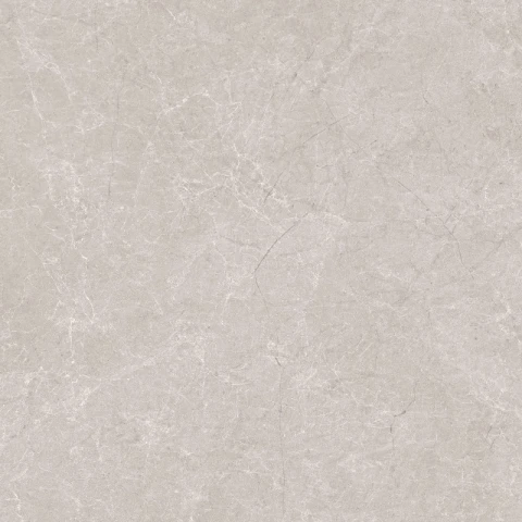Ảnh Gạch Ấn Độ CSI88138 3