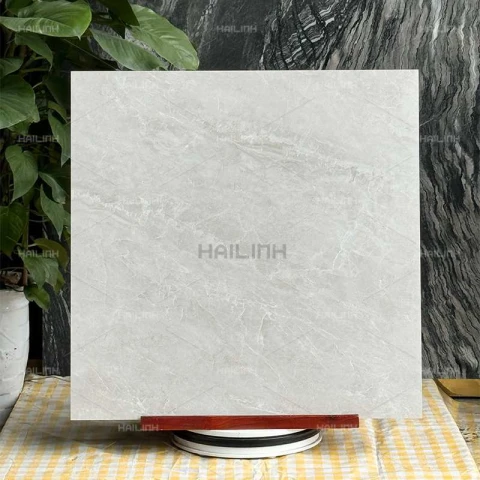 Ảnh Gạch Ấn Độ CSI88151 1