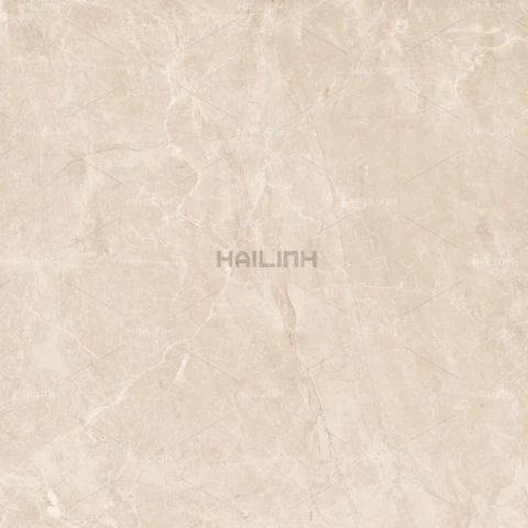 Ảnh Gạch Ấn Độ CSI88152 5