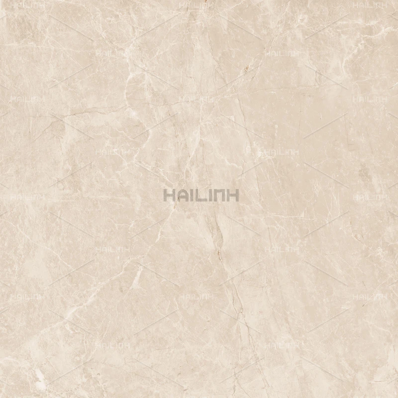 Ảnh Gạch Ấn Độ CSI88152 5