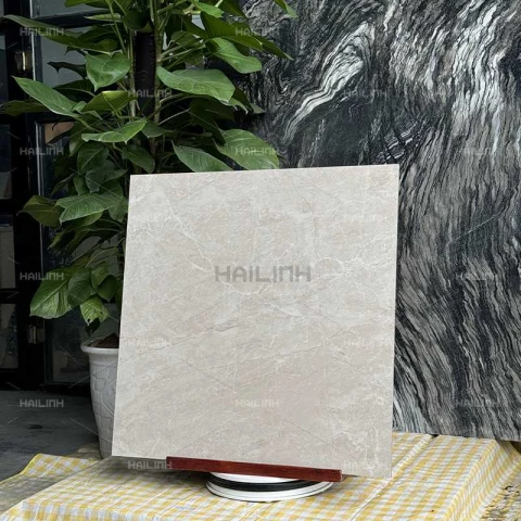 Ảnh Gạch Ấn Độ CSI88152 6