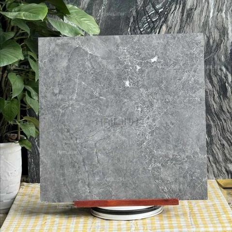 Ảnh Gạch Ấn Độ CSI88153 6