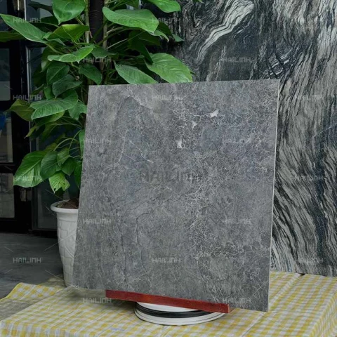 Ảnh Gạch Ấn Độ CSI88153 7