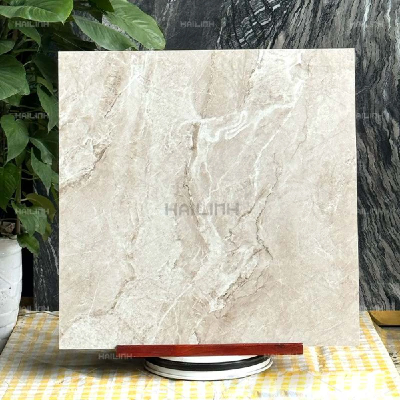 gach an do 80x80 CSI88154 1