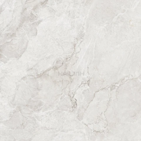 Ảnh Gạch Ấn Độ CSI88155 3