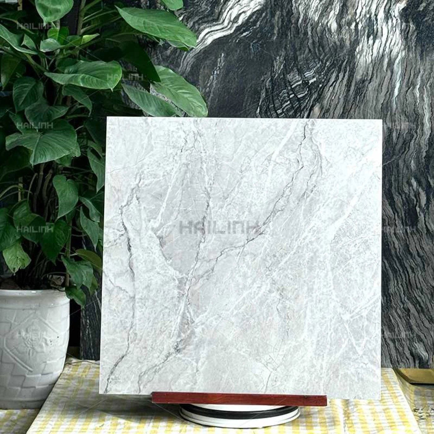 gach an do 80x80 CSI88156 2