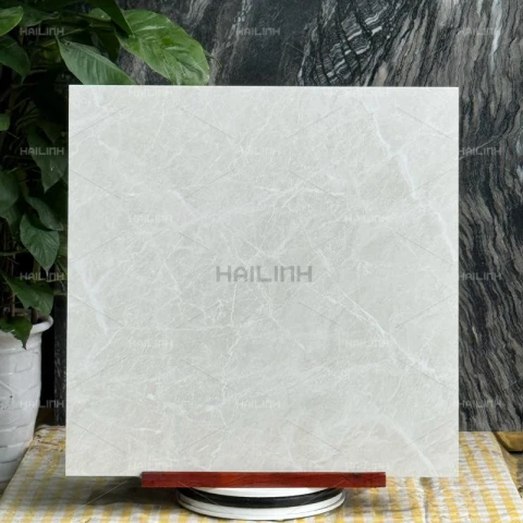 Ảnh Gạch Ấn Độ CSI88177 3