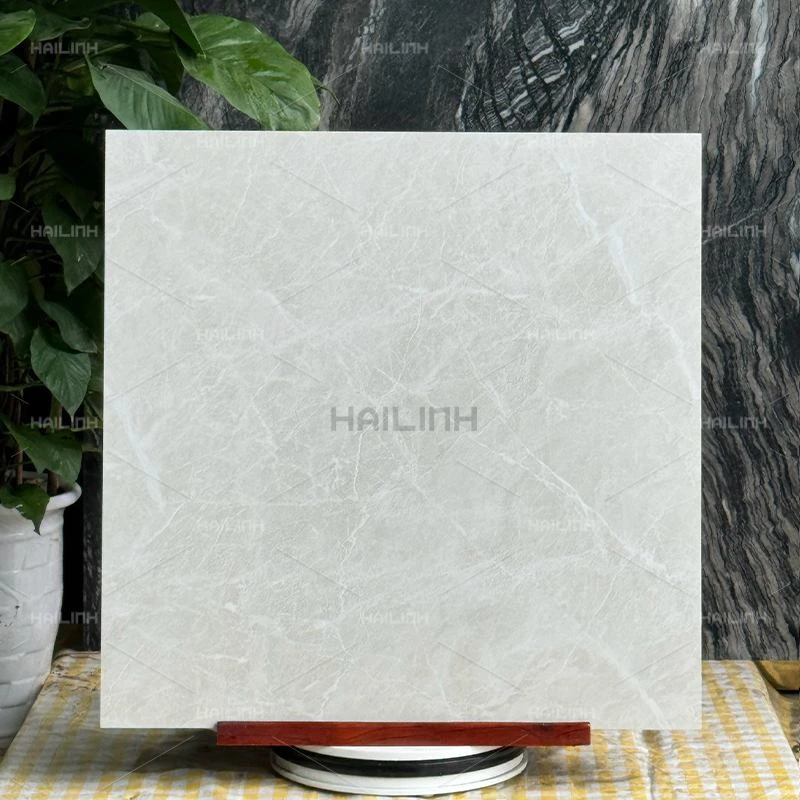 Ảnh Gạch Ấn Độ CSI88177 3