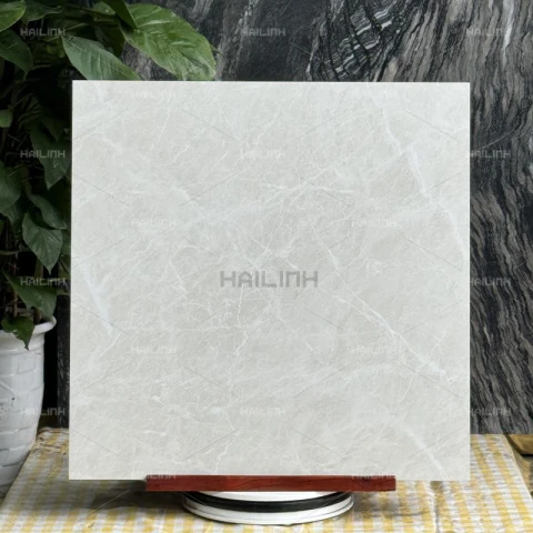 Ảnh Gạch Ấn Độ CSI88177 4