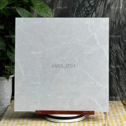 Ảnh Gạch Ấn Độ CSI88178 6