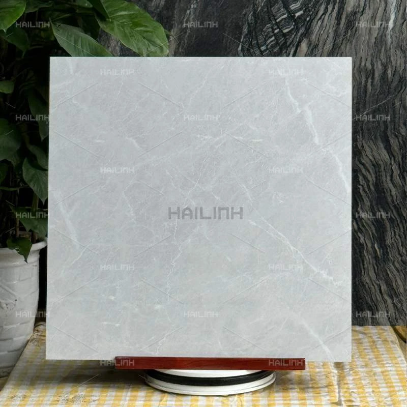 Ảnh Gạch Ấn Độ CSI88178 6