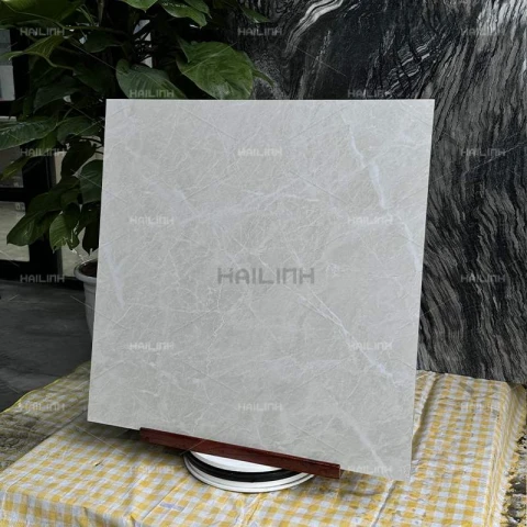 Ảnh Gạch Ấn Độ CSI88178 7