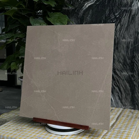 Ảnh Gạch Ấn Độ CSI88179 6