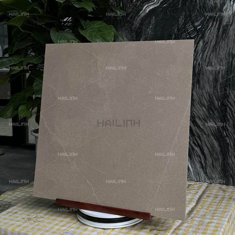 Ảnh Gạch Ấn Độ CSI88179 6