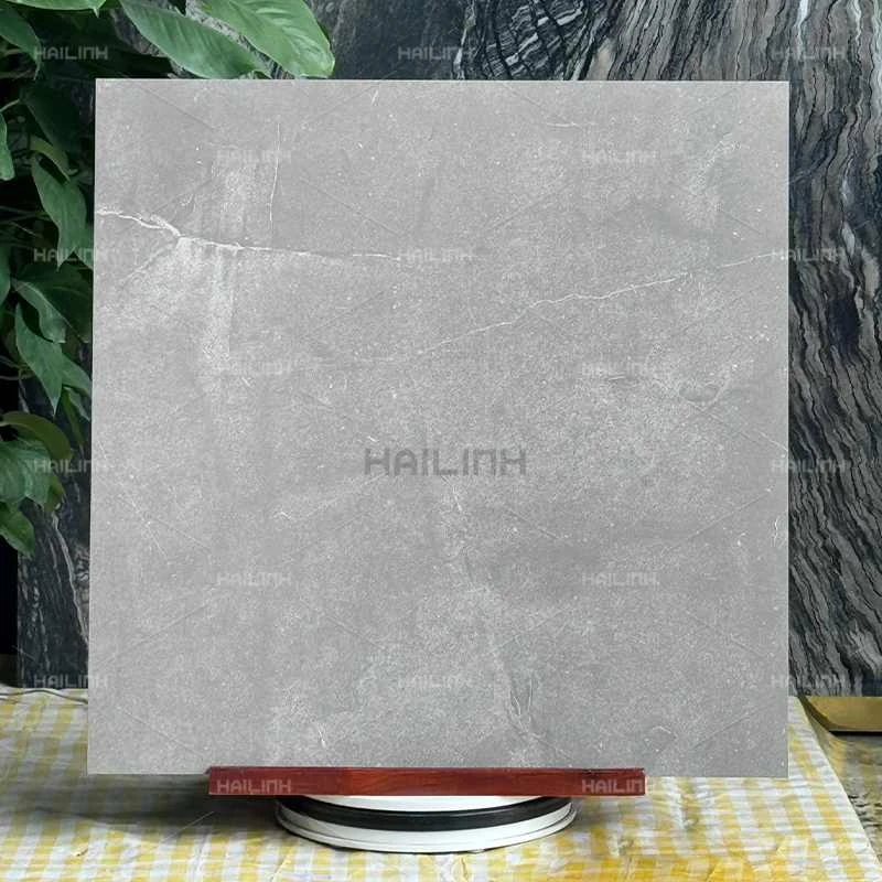 Ảnh Gạch Ấn Độ CSI88180 6