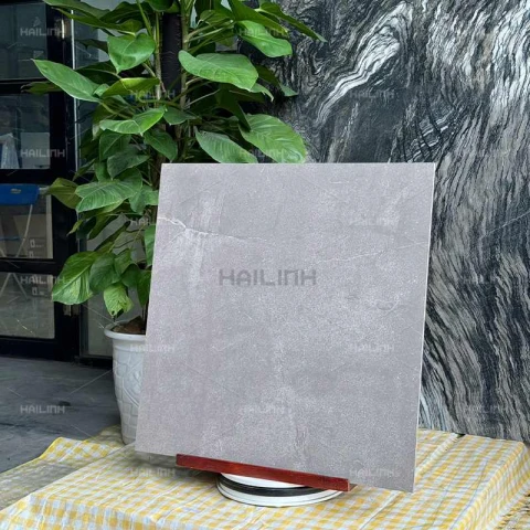 Ảnh Gạch Ấn Độ CSI88180 7