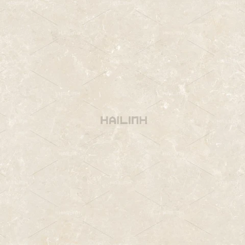 Ảnh Gạch Ấn Độ CSI88182 4