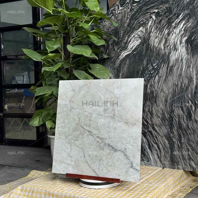 Ảnh Gạch Ấn Độ CSI88186 7