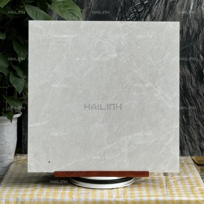 Ảnh Gạch Ấn Độ CSI88190 6