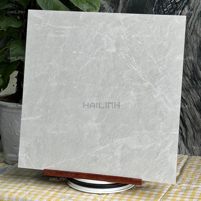 Ảnh Gạch Ấn Độ CSI88190 7