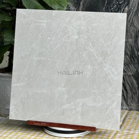 Ảnh Gạch Ấn Độ CSI88190 8
