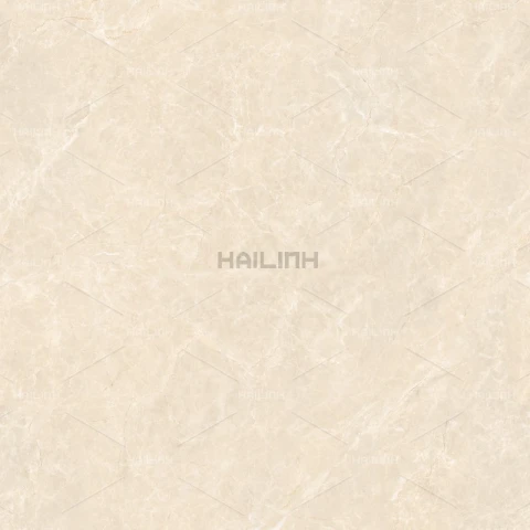 Ảnh Gạch Ấn Độ CSI88191 3