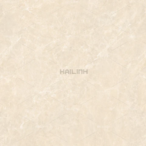 Ảnh Gạch Ấn Độ CSI88191 4